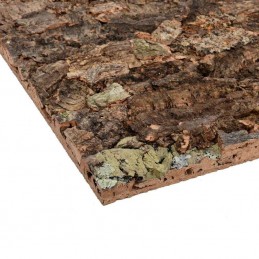 Natural Cork Panel Background for Terrarium 90x60cm
