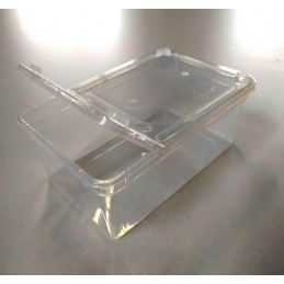 xBraPlast Pudełko Pojemnik Hodowlany 19x12,5x7,5 cm 1,3 L  Transparent z Klapą i wentylacją