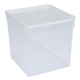 BraPlast Breeding Box 10pcs - 19x19x19 cm 5,8 L Transparent - Container