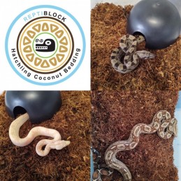 repti block substrate coconut fiber chips fine gradation ideal for snakes, lizards, plants