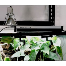 Zestaw lamp Arcadia Pro T5 ShadeDweller ARBOREAL lampa dla gekona orzęsionego ze świetlówką UVB 2,4%