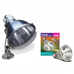 Product set Clamp Lamp for basking bulbs + Heating light bulb Halogen Basking Spot 75W