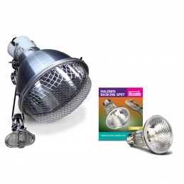 Product set Clamp Lamp for basking bulbs + Heating light bulb Halogen Basking Spot 100W