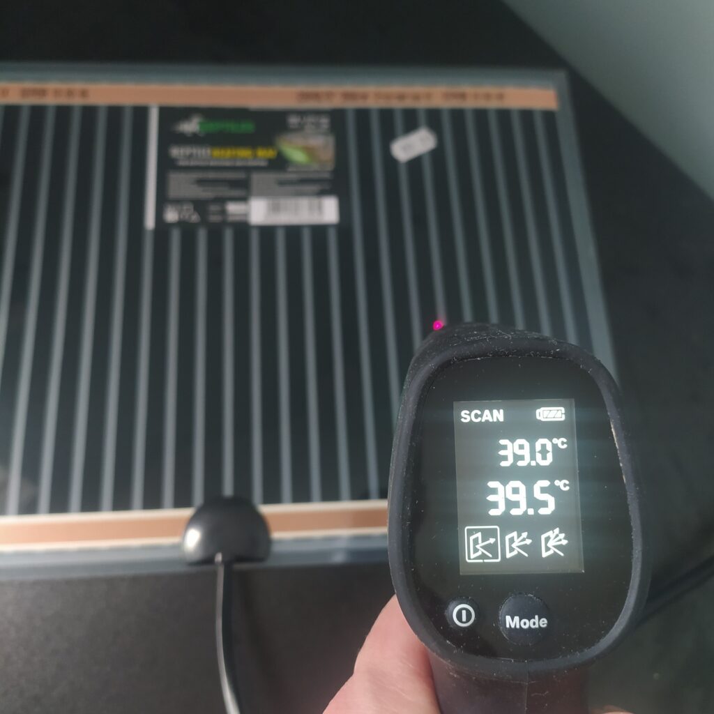 test temperatury maty grzewczej w terrarium na płycie wiórowej