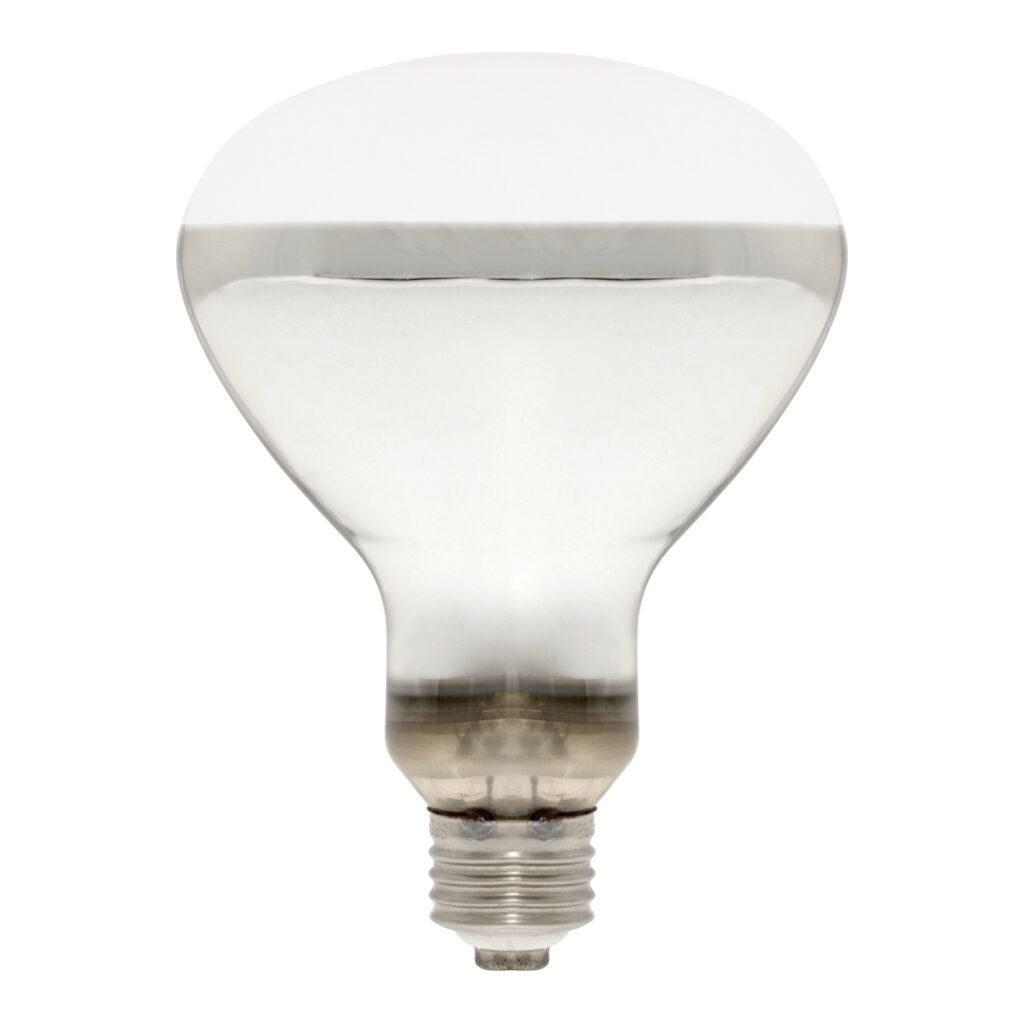 żarówka grzewcza z UVB dla żółwia