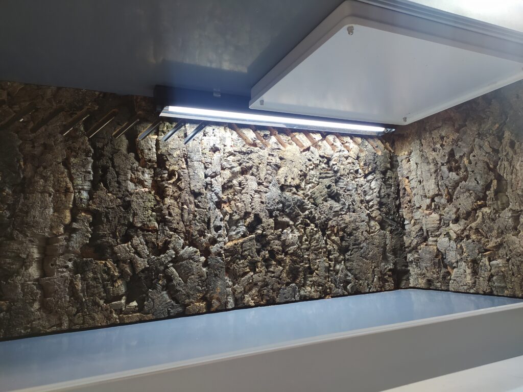 panel infrared na suficie terrarium